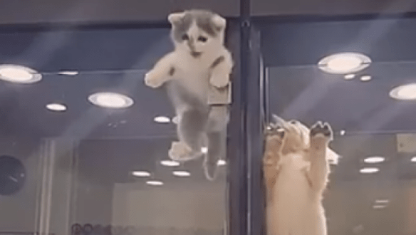 1467243086740.png image