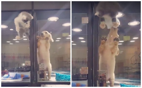 collage-24.jpg image