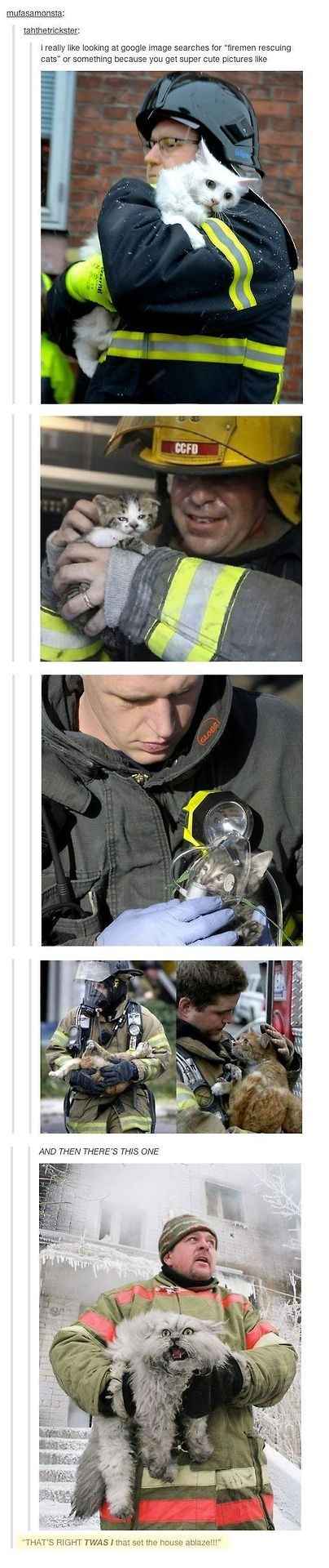 enhanced-23527-1415379661-38-3.jpg image