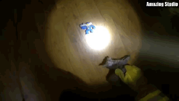 hero saves kitten 1.gif